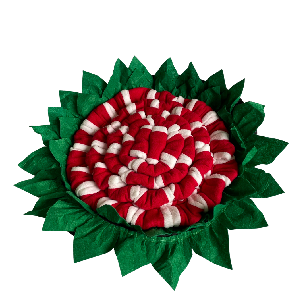 Alfombra Interactiva para Olfatear