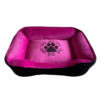 Fucsia