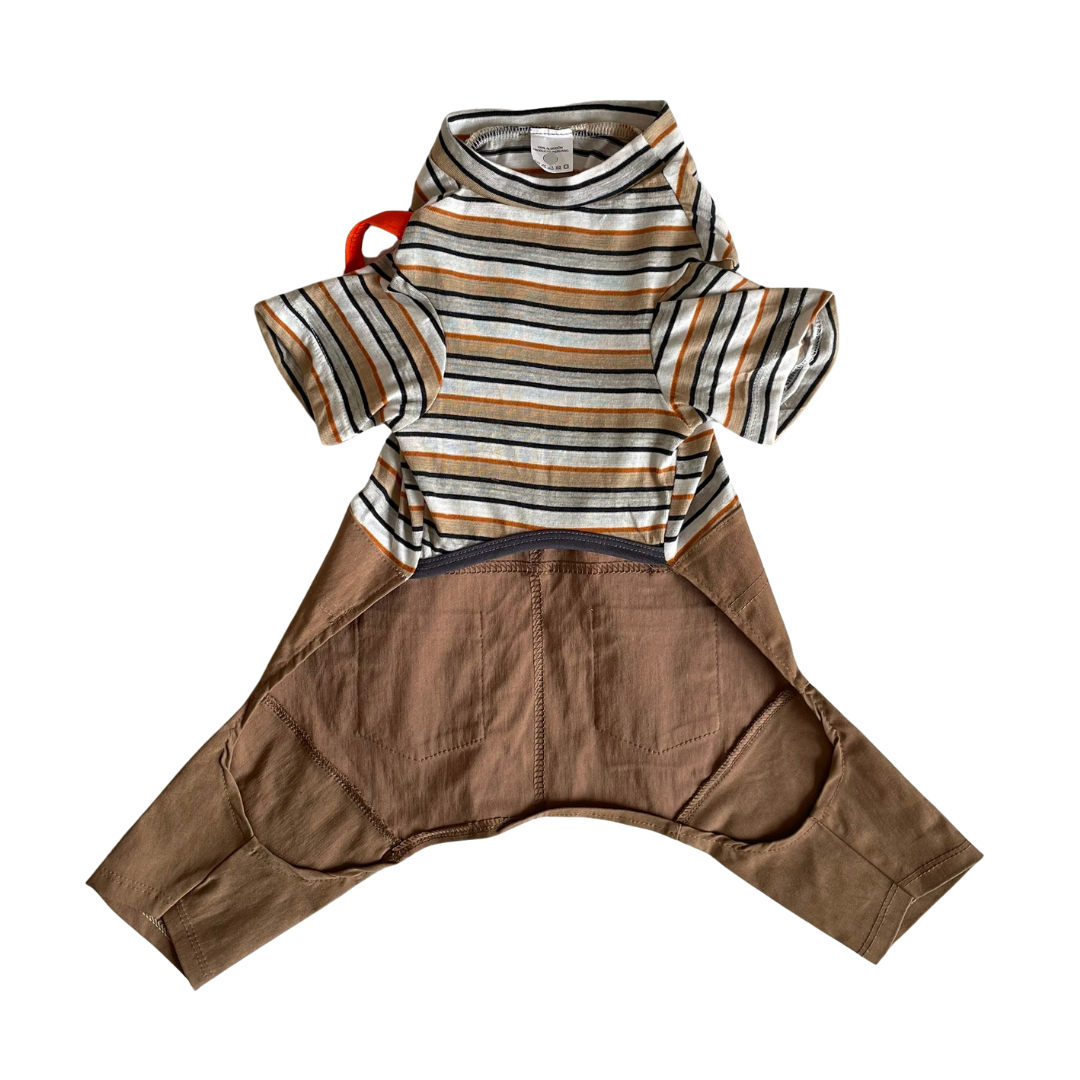 Disfraz Chavo para Mascotas