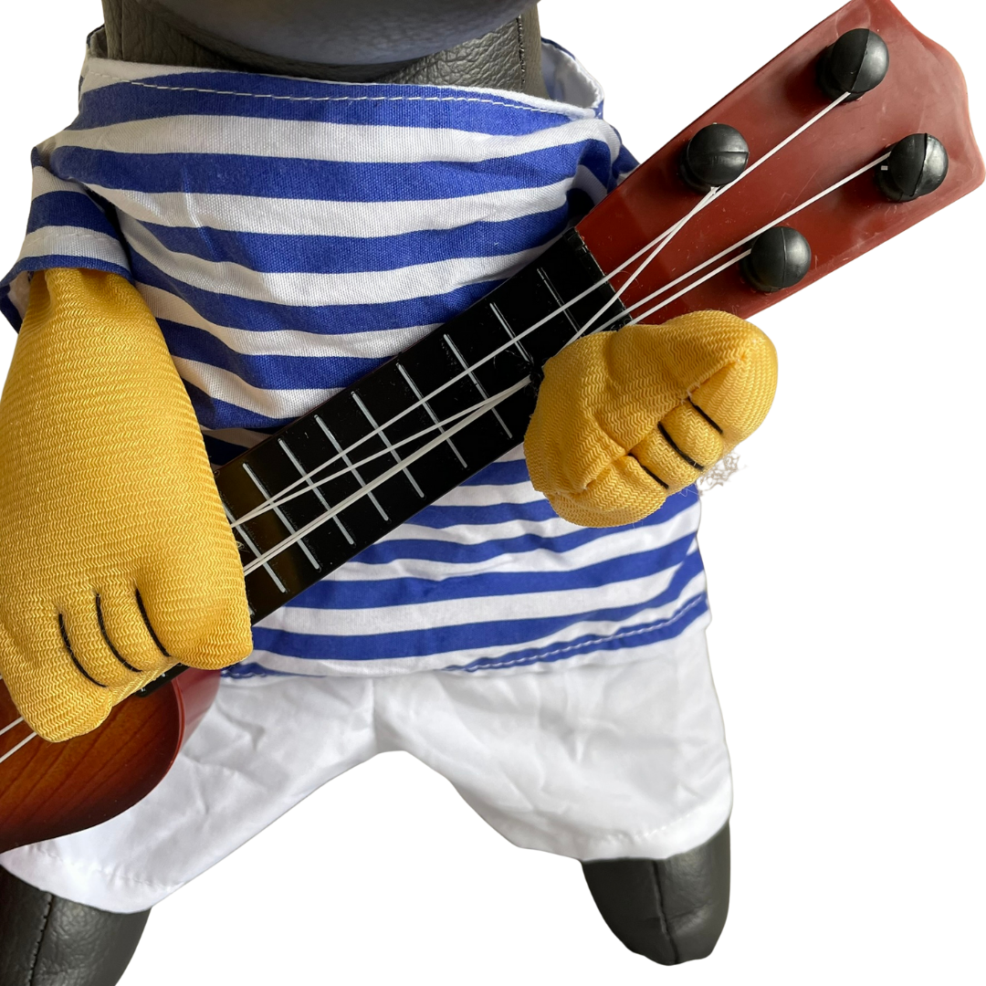 Disfraz guitarreo para Mascotas
