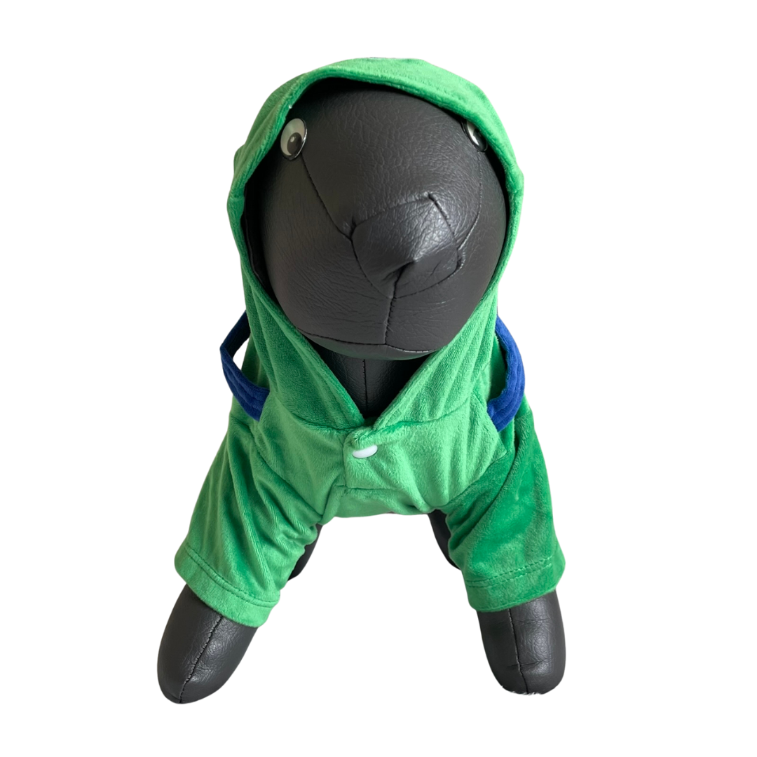 Disfraz Luigui para Mascotas