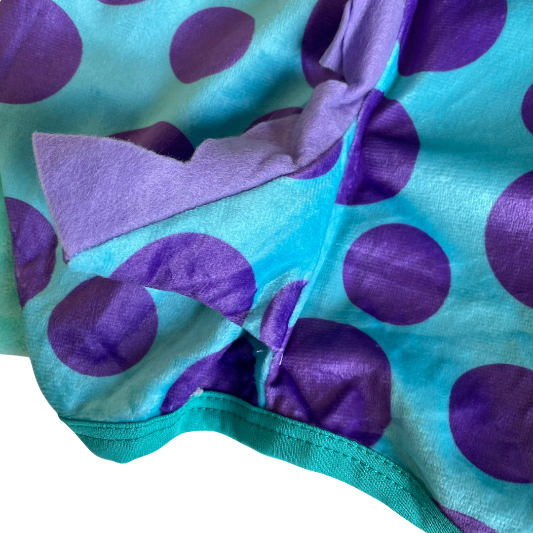 Disfraz Sullivan para Mascotas