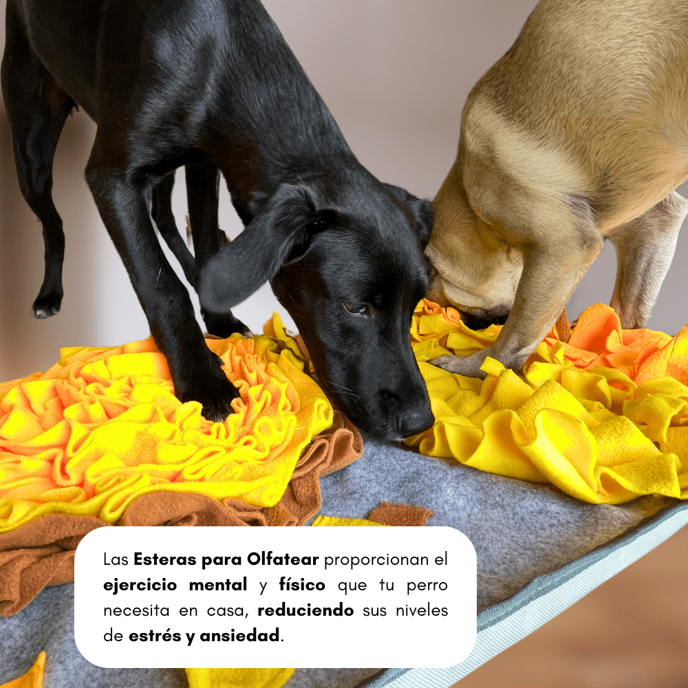 Estera de Snuffle para Mascotas