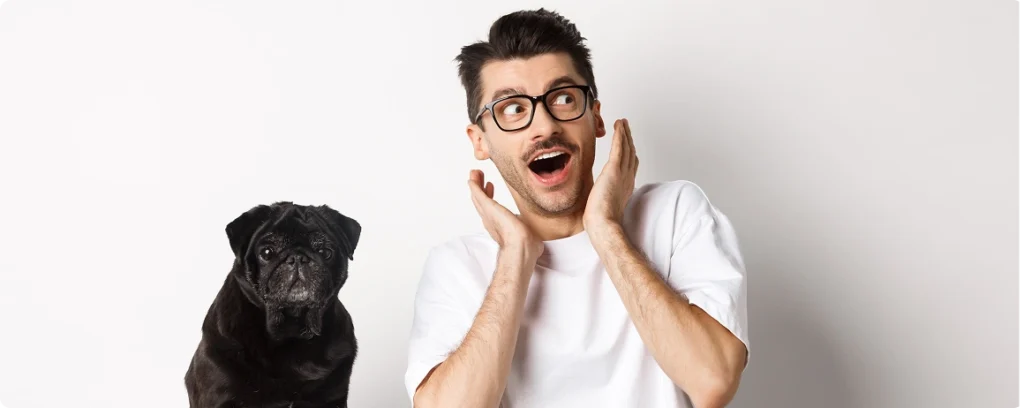 Calmar la Ansiedad de tu Perro