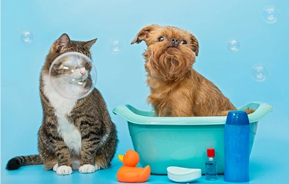 Higiene para mascotas