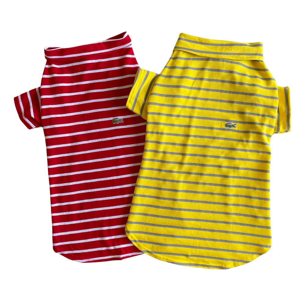 polo piqué para perros