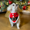 Bandana Pet Claus (2)