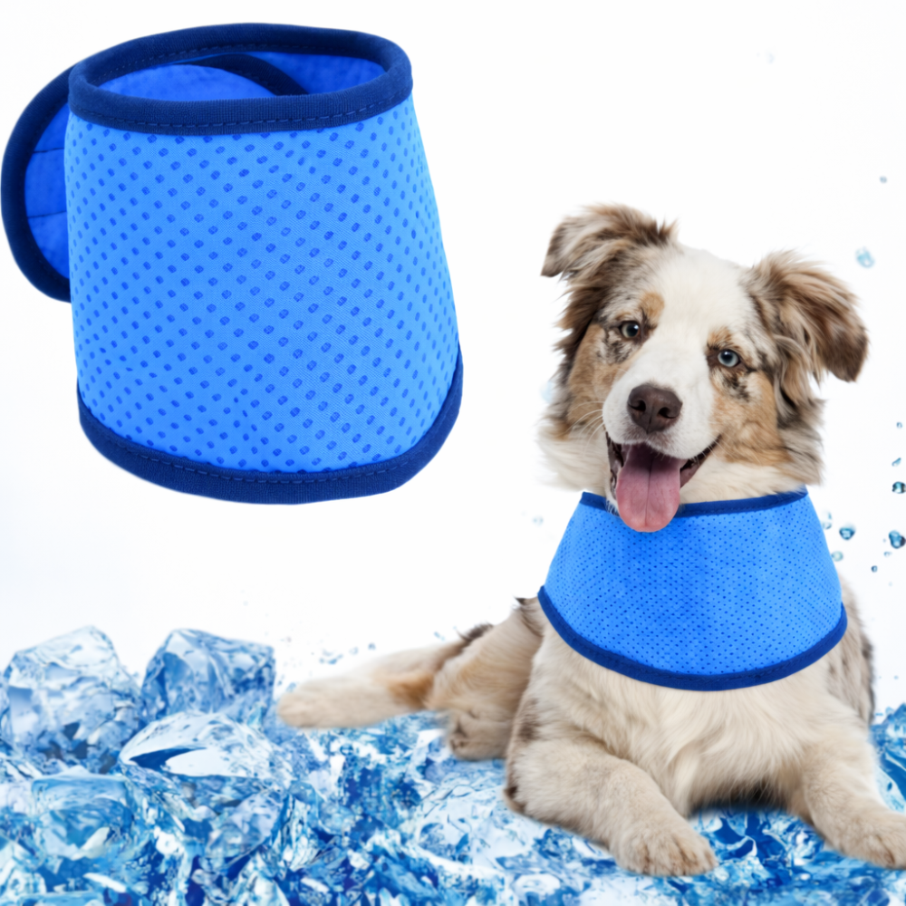 bandana refrigerante para mascotas