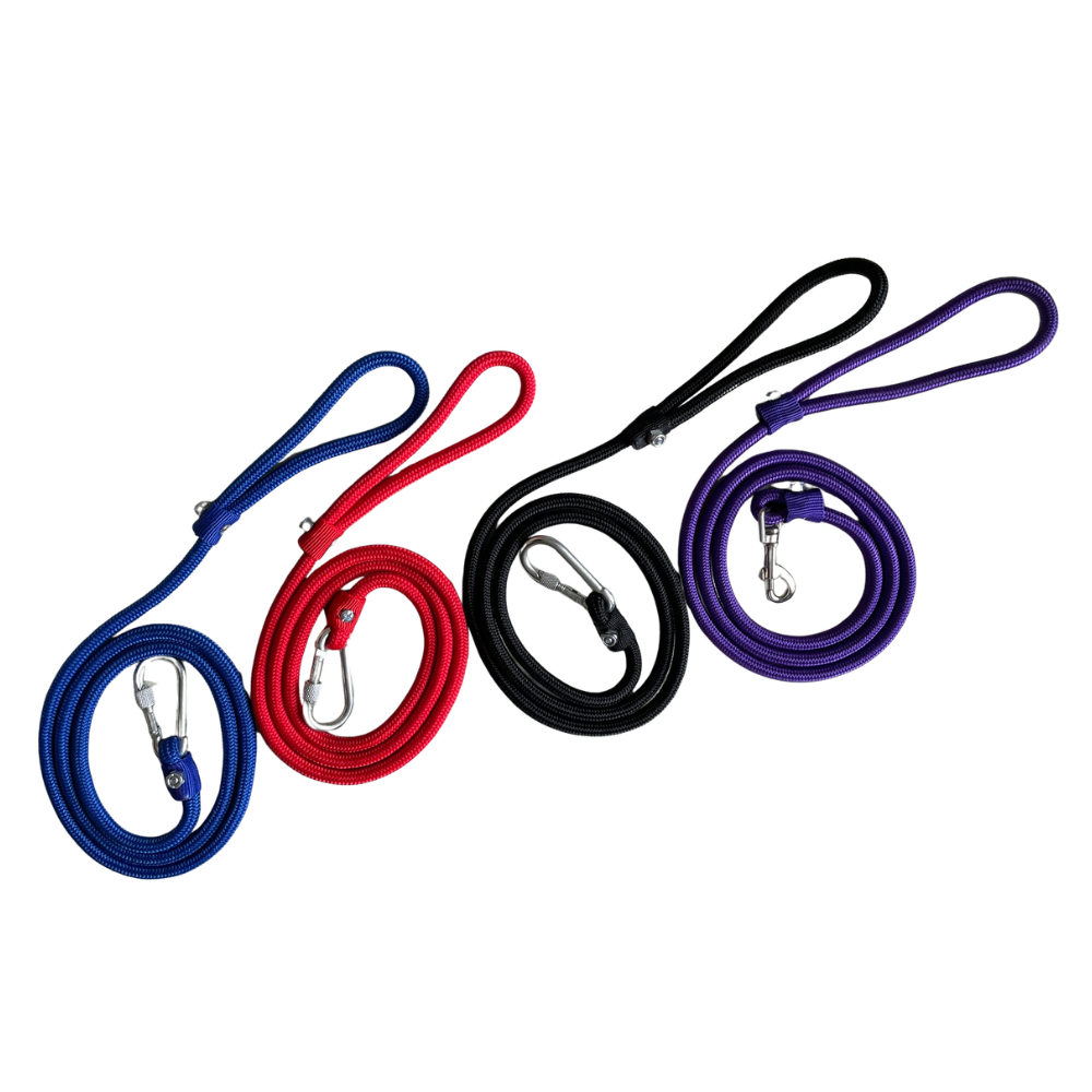 correa delgada 1.2 metros para perros