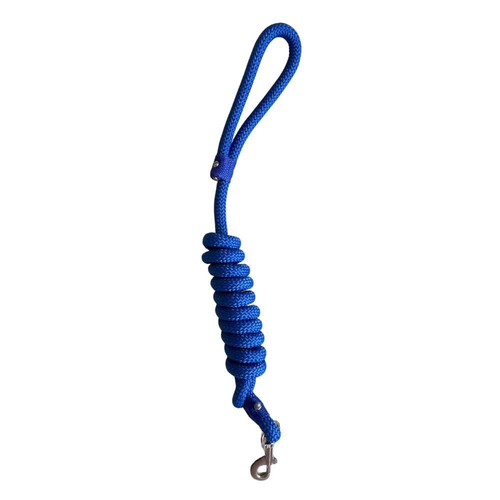 Correa de Nylon Resistente Gruesa Azul 2 mts para Perros