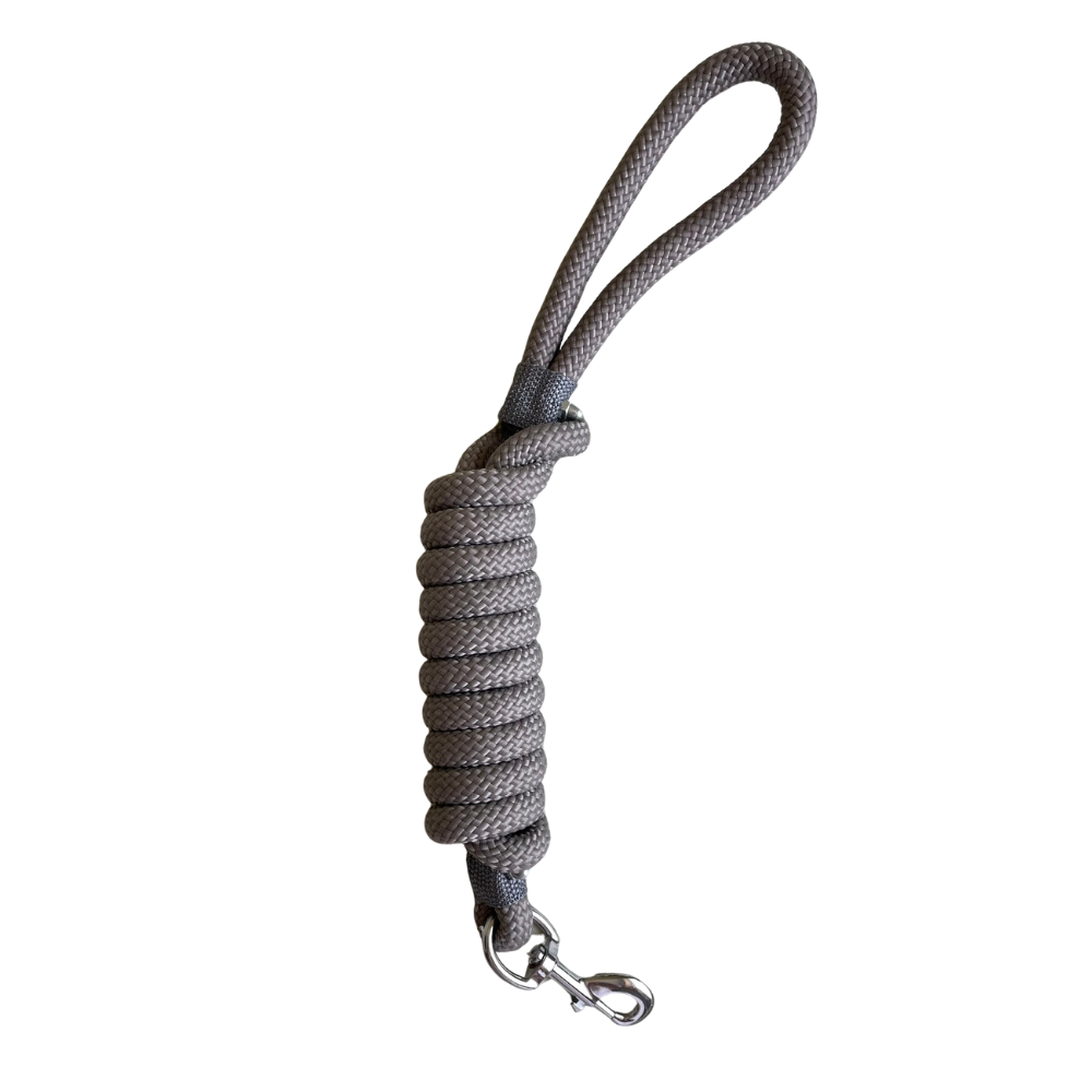 Correa de Nylon Resistente Gruesa Plomo 2 mts para Perros