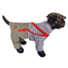 Disfraz Chavo del 8 para Mascotas - Thumbnail Image 1