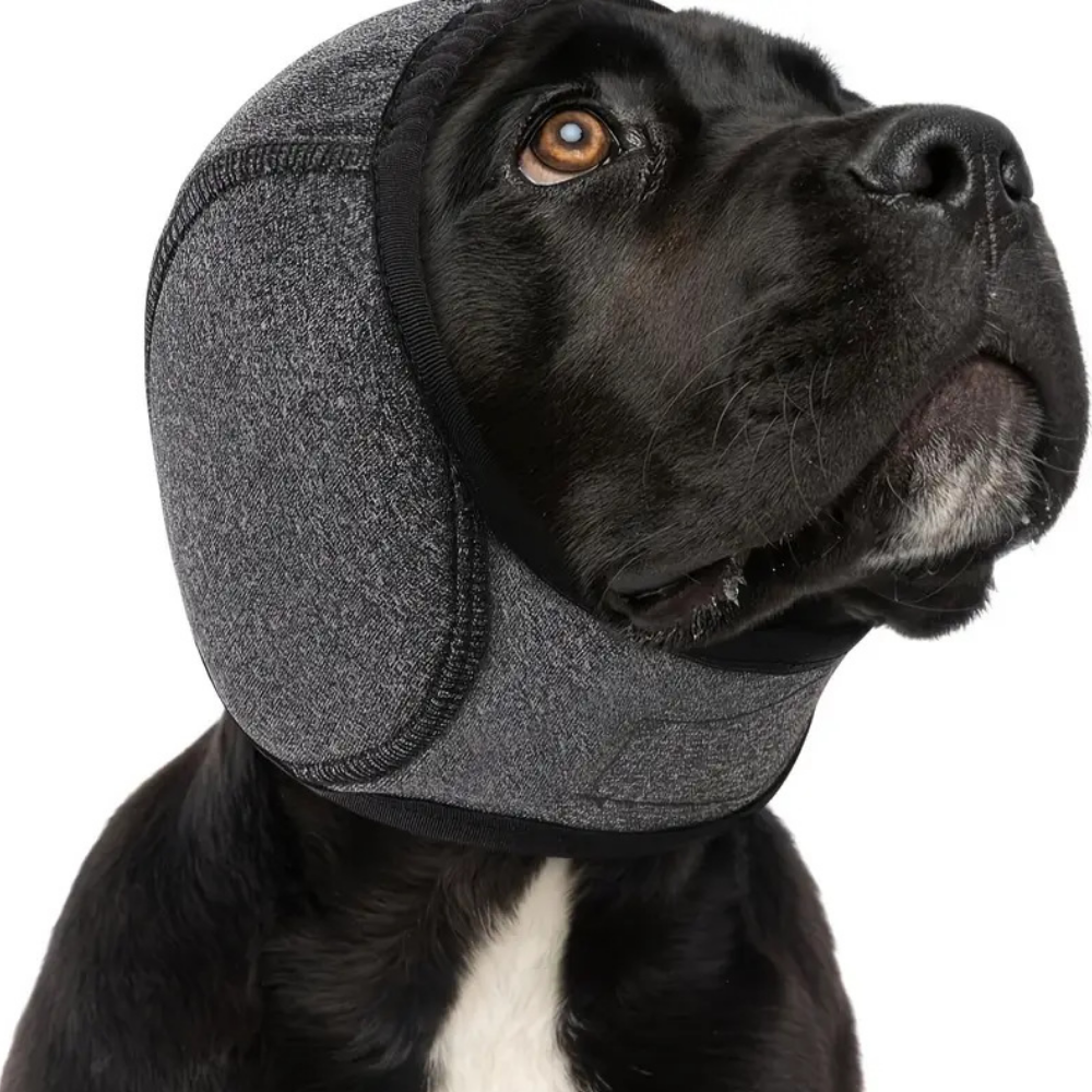 orejera anti ruido para mascotas