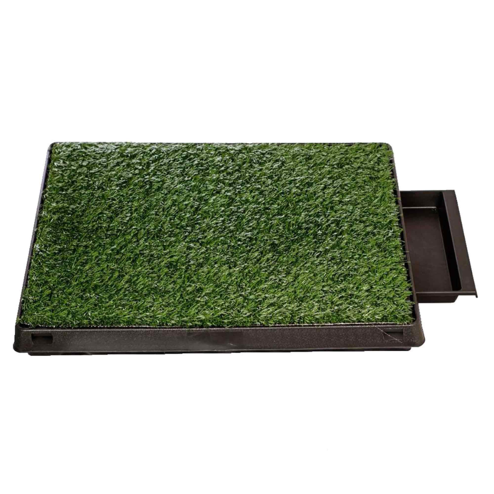 baño de grass sintético para mascotas