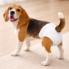Pet Show Pack 10 Pañales para Mascotas (2)