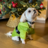 Polo Grinch Navidad para Mascotas (2)