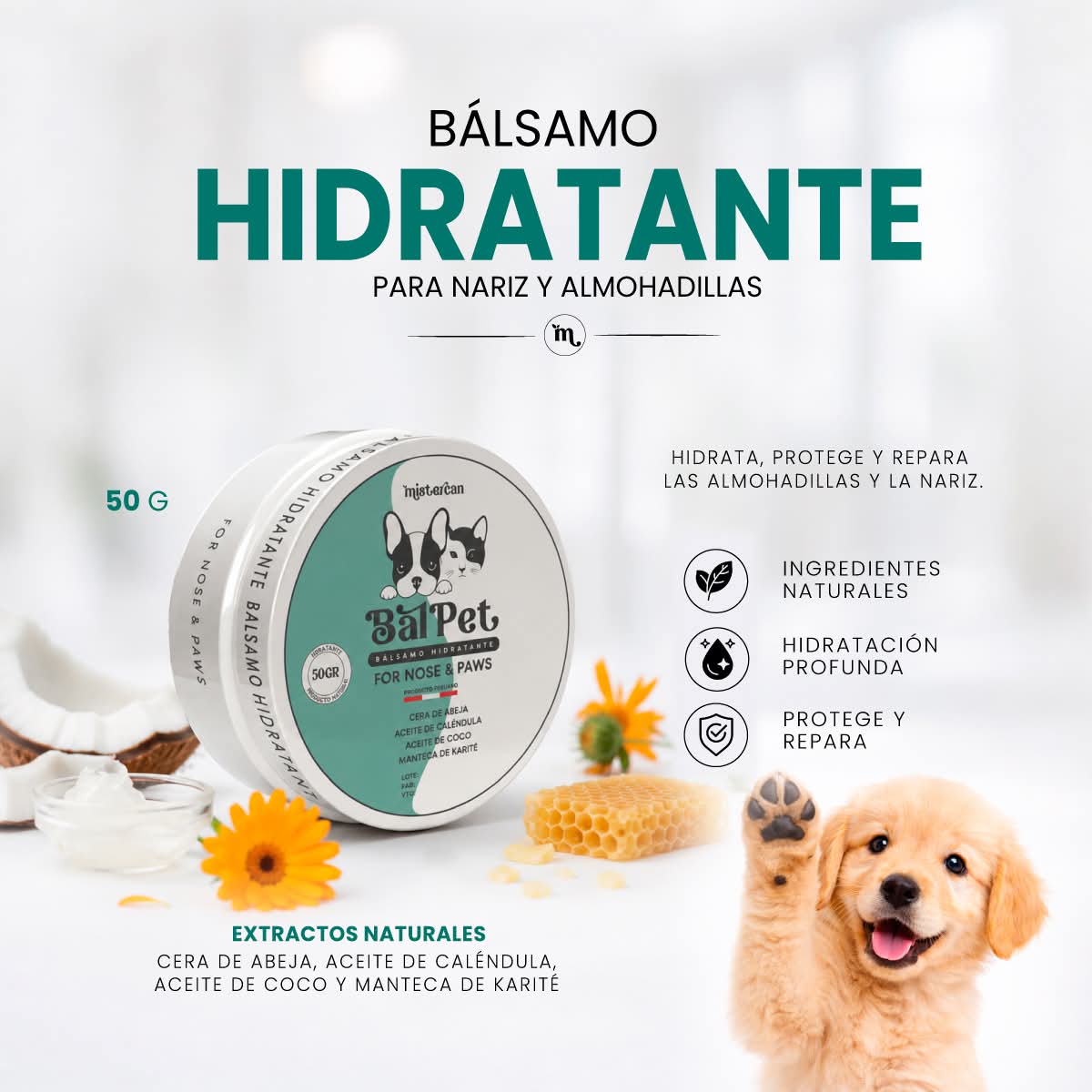 MisterCan Bálsamo Hidratante 100% Natural para Mascotas 50gr - Imagen 3