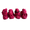 Fucsia